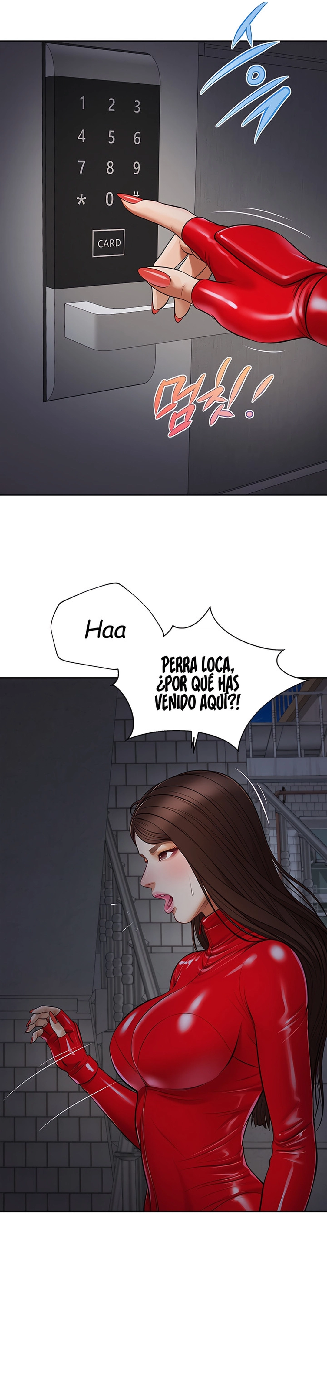 Imagen del capítulo 11
